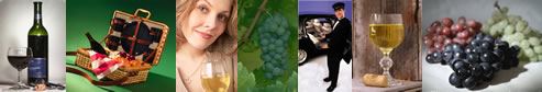 Long Island Wine Tours - Long Island Winery Tours - specializing in limousine services for wine tasting in the Long Island, New York area.  Tours featuring professional chauffeurs, luxury sedans, stretch limousines, vans, more.